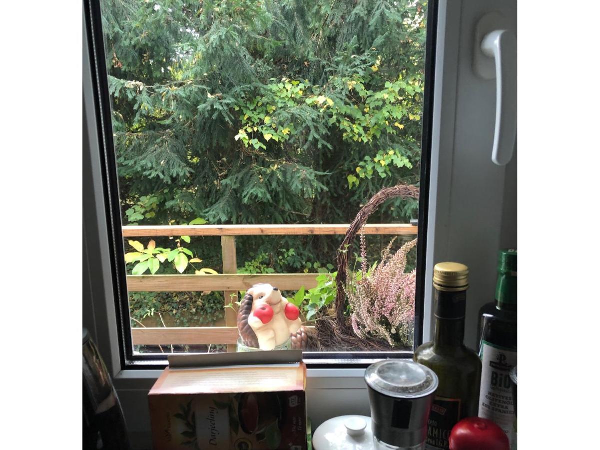 Lisa Apartment 萨尔茨堡 外观 照片